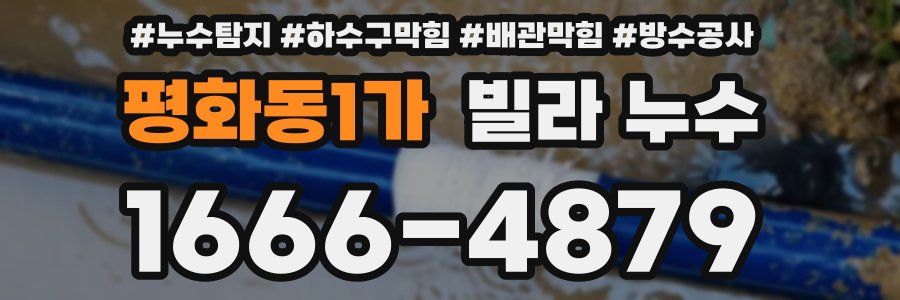 평화동1가 빌라 누수