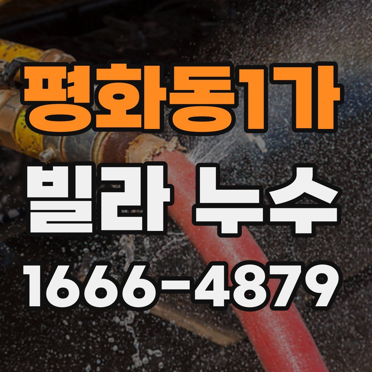 평화동1가 빌라 누수