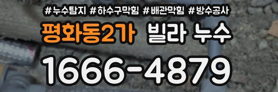 평화동2가 빌라 누수