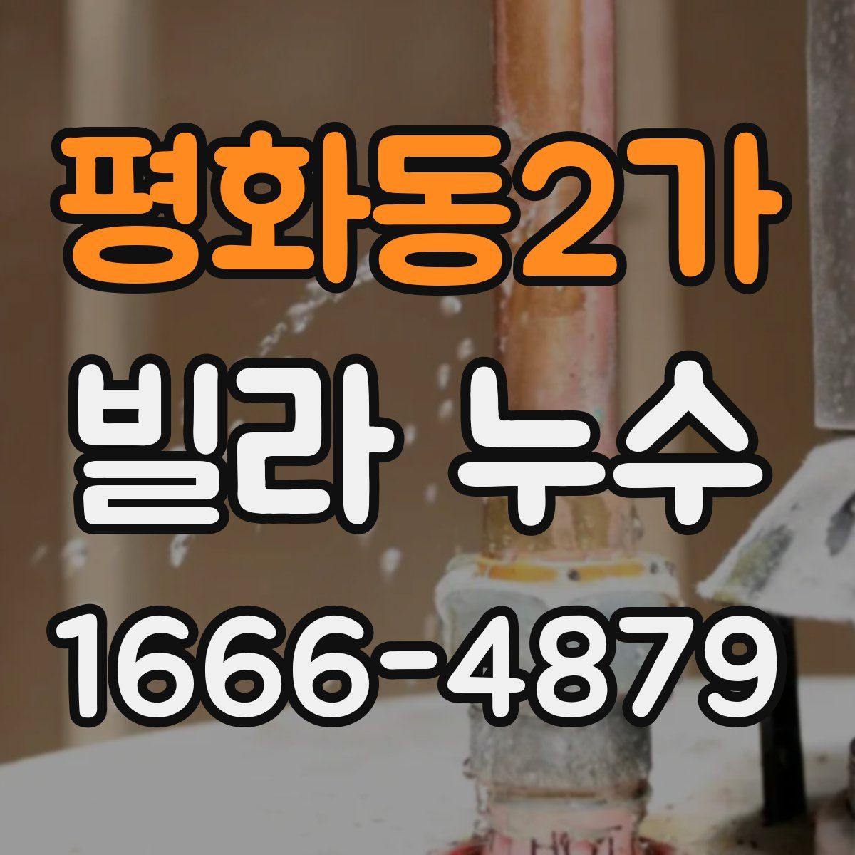 평화동2가 빌라 누수