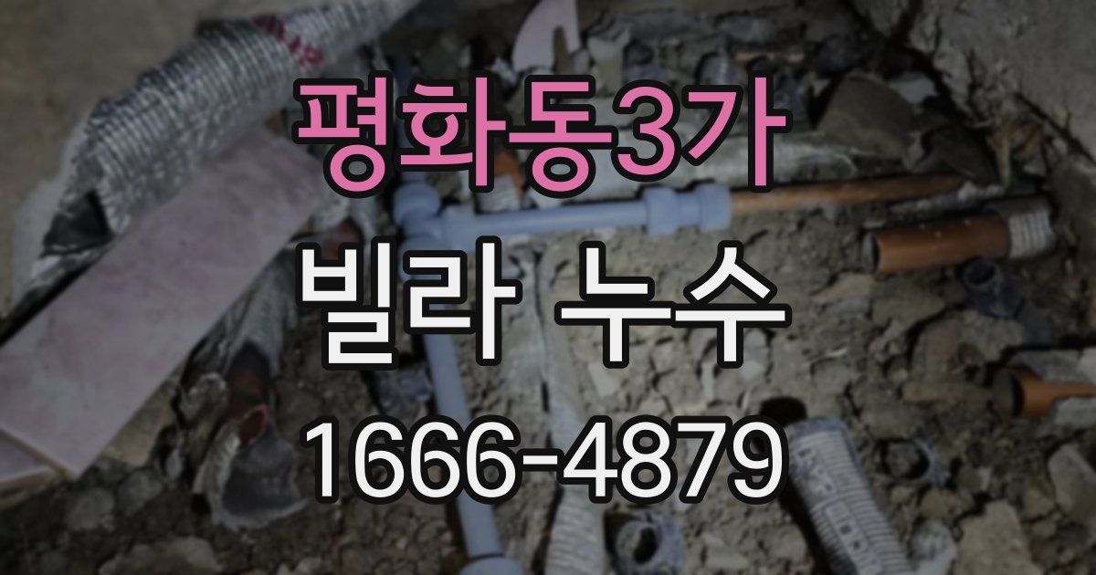 평화동3가 빌라 누수