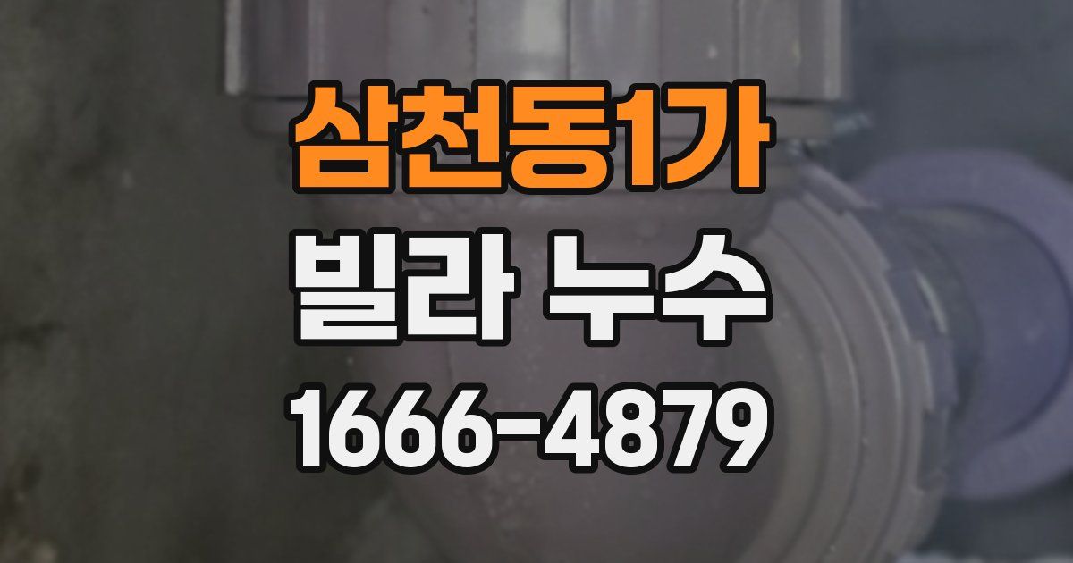삼천동1가 빌라 누수