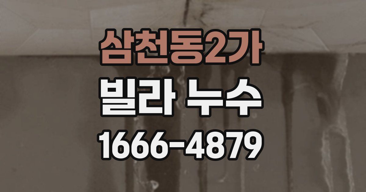 삼천동2가 빌라 누수