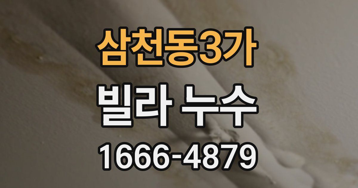 삼천동3가 빌라 누수