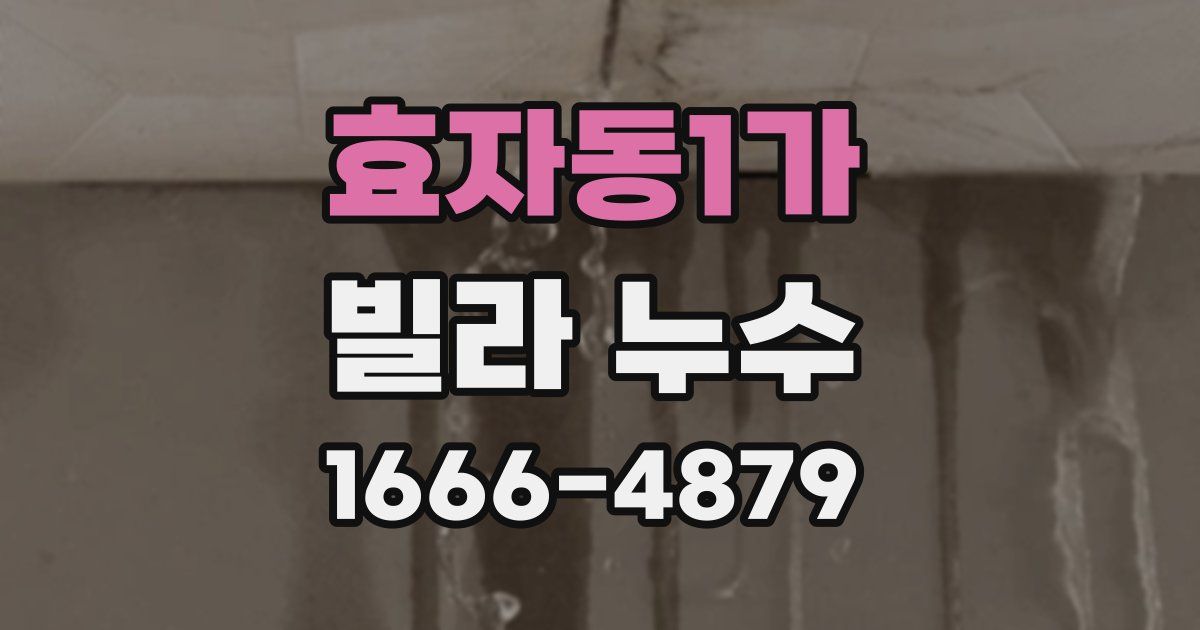 효자동1가 빌라 누수
