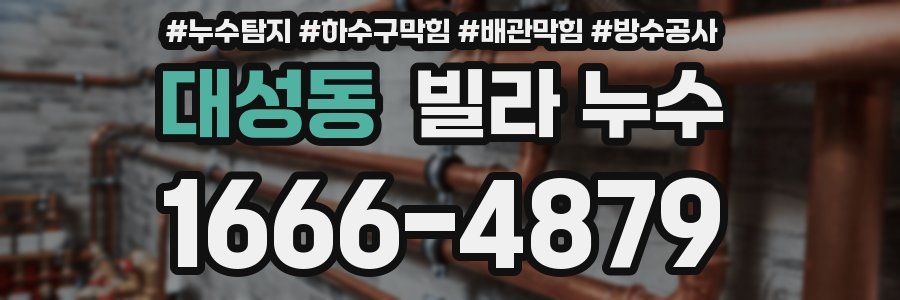 대성동 빌라 누수