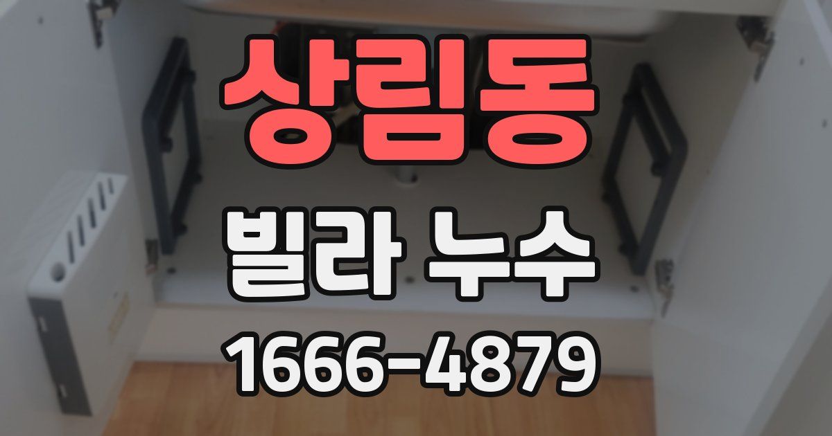 상림동 빌라 누수