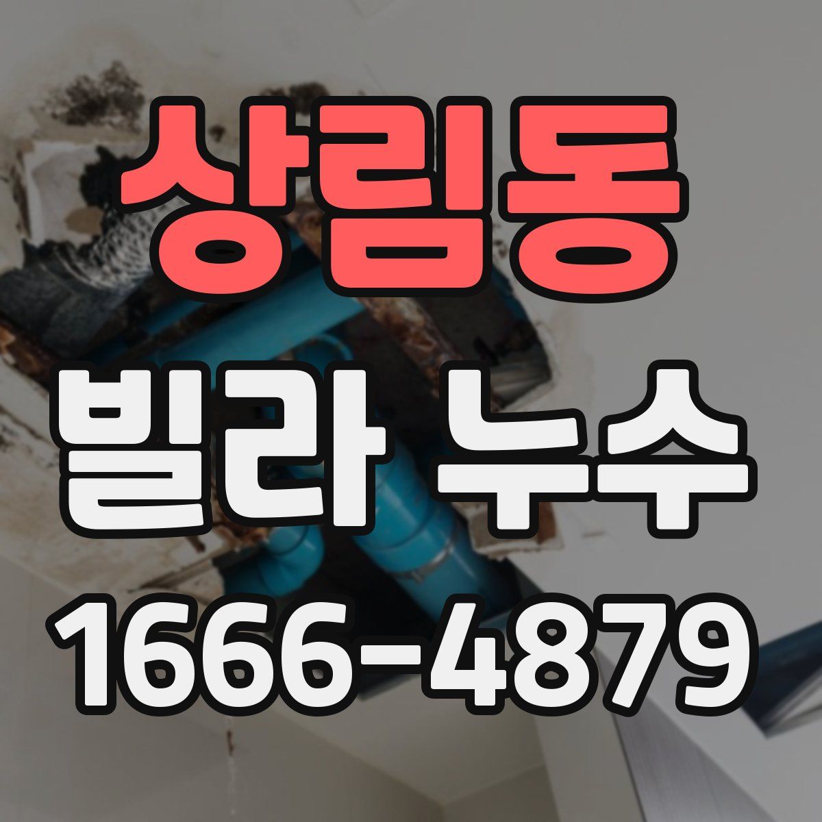 상림동 빌라 누수