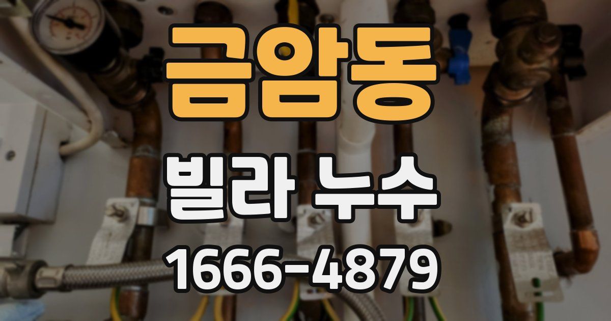 금암동 빌라 누수