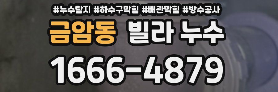 금암동 빌라 누수