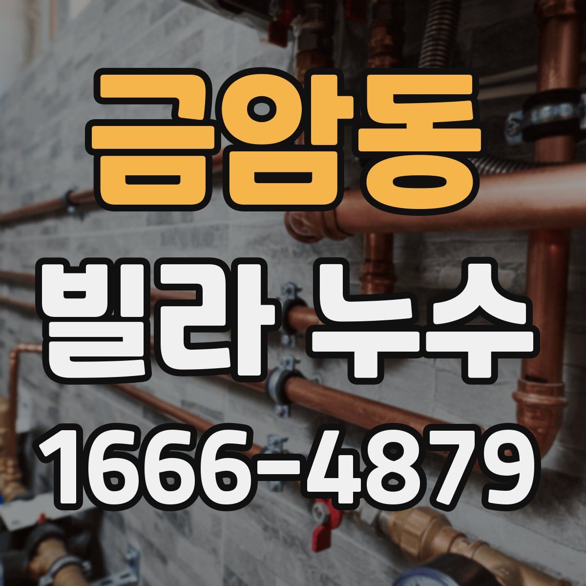 금암동 빌라 누수