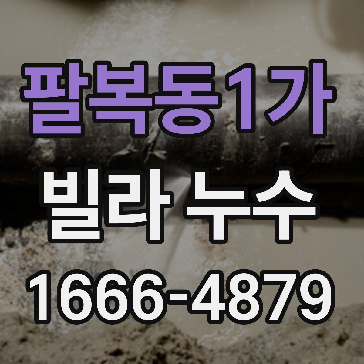 팔복동1가 빌라 누수