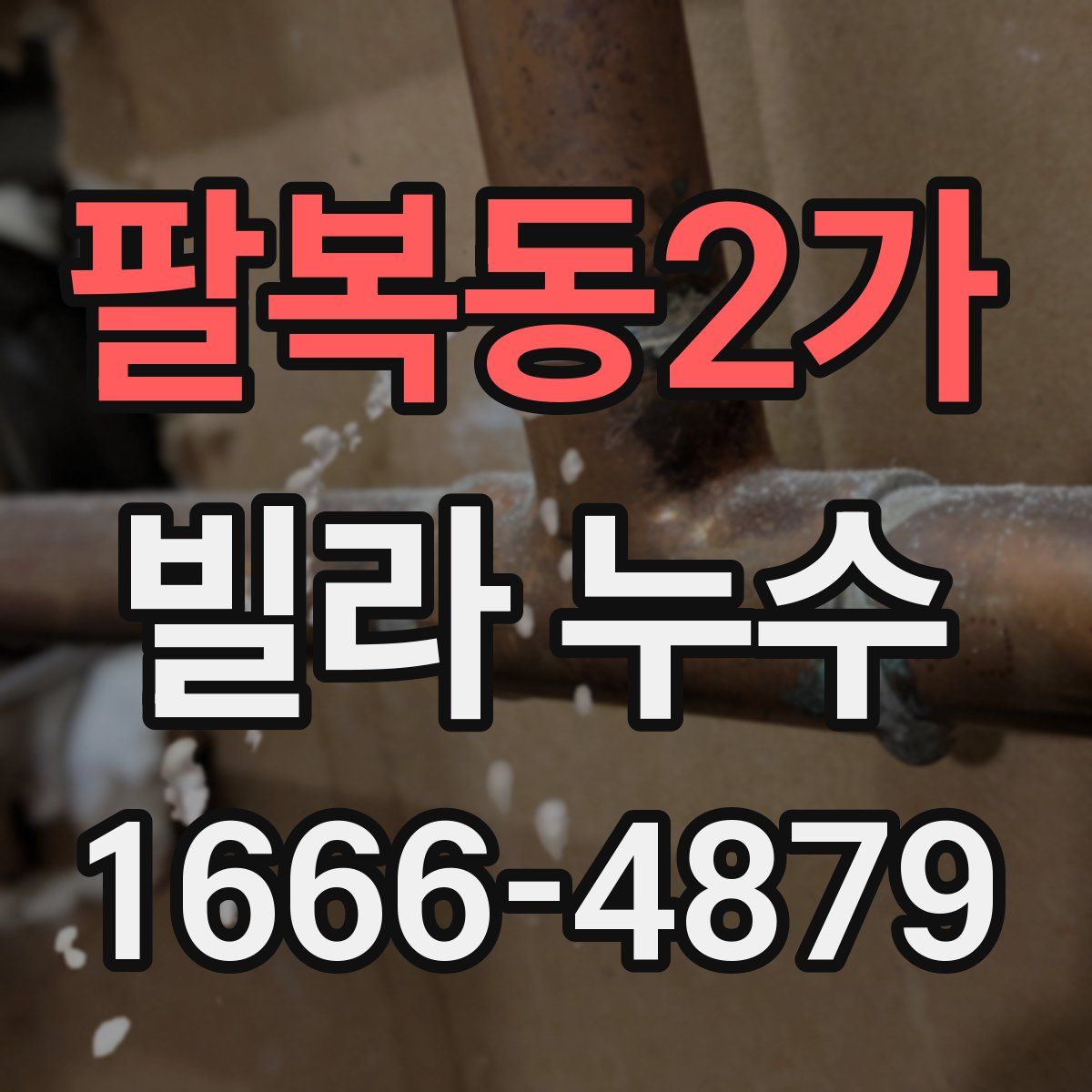 팔복동2가 빌라 누수