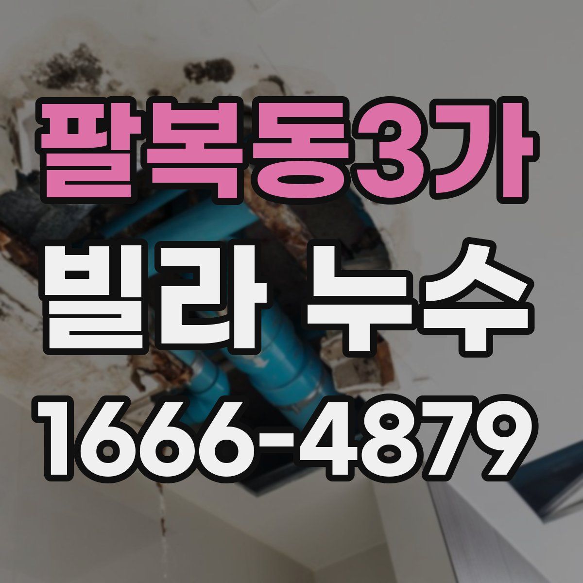 팔복동3가 빌라 누수