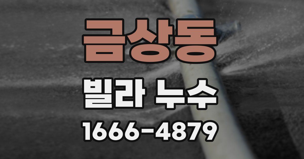 금상동 빌라 누수