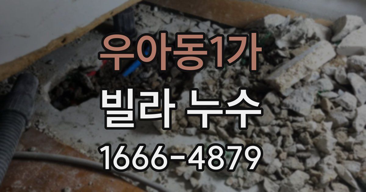 우아동1가 빌라 누수