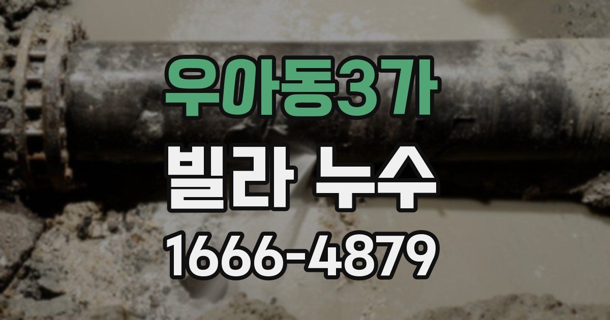 우아동3가 빌라 누수