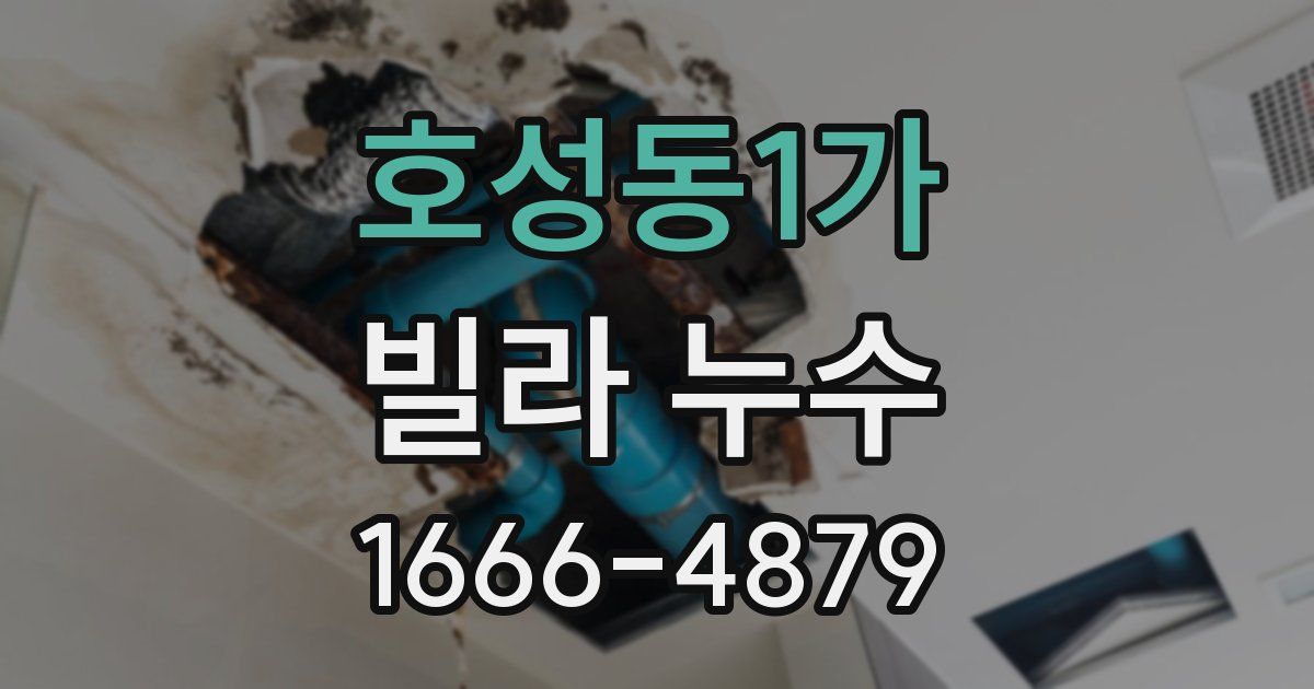 호성동1가 빌라 누수