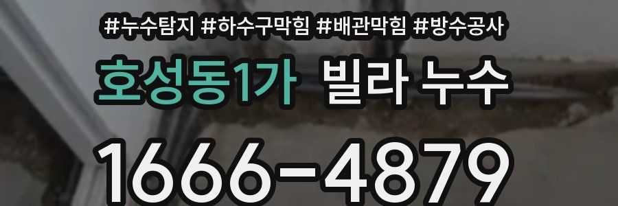 호성동1가 빌라 누수
