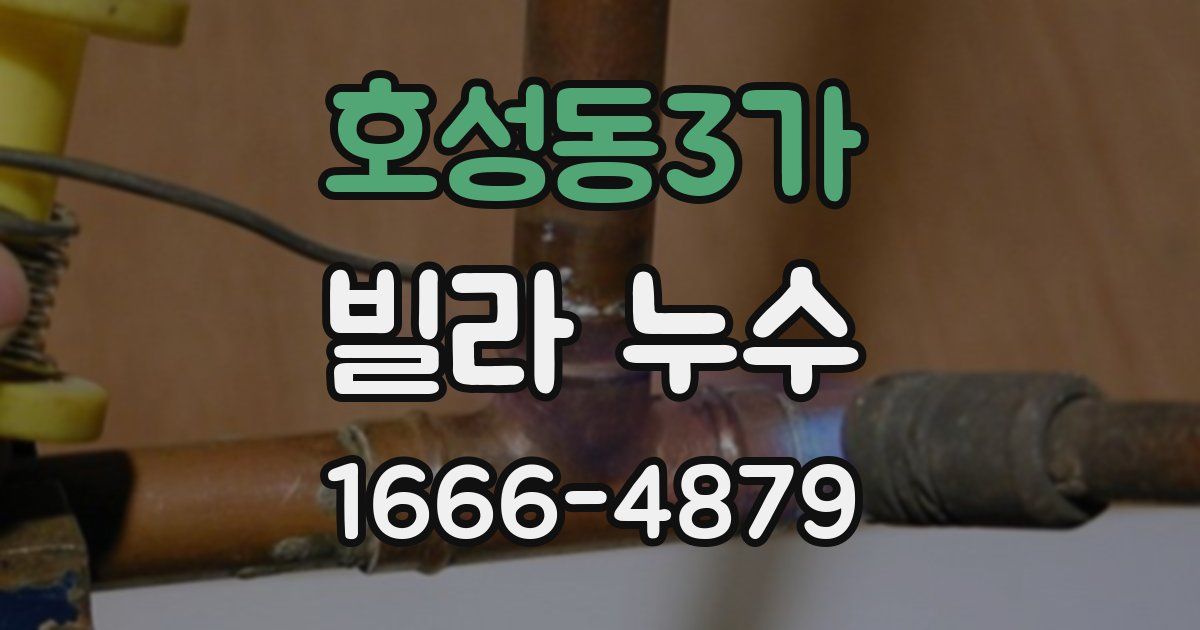 호성동3가 빌라 누수