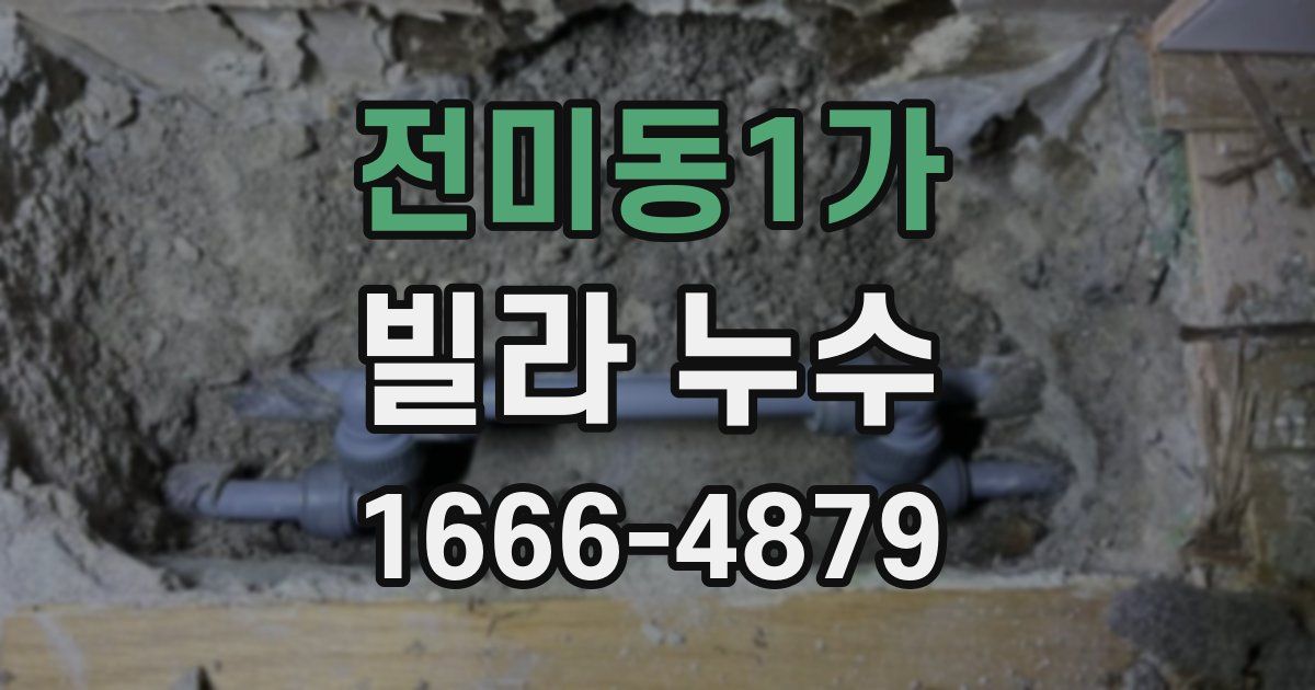 전미동1가 빌라 누수