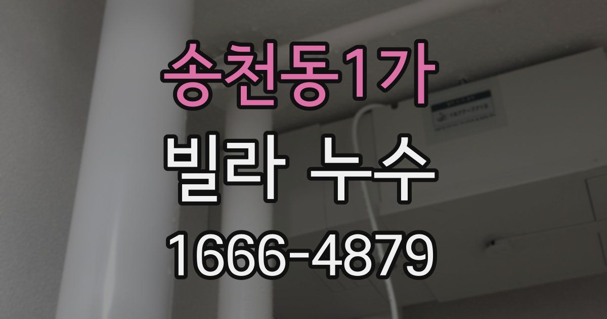 송천동1가 빌라 누수