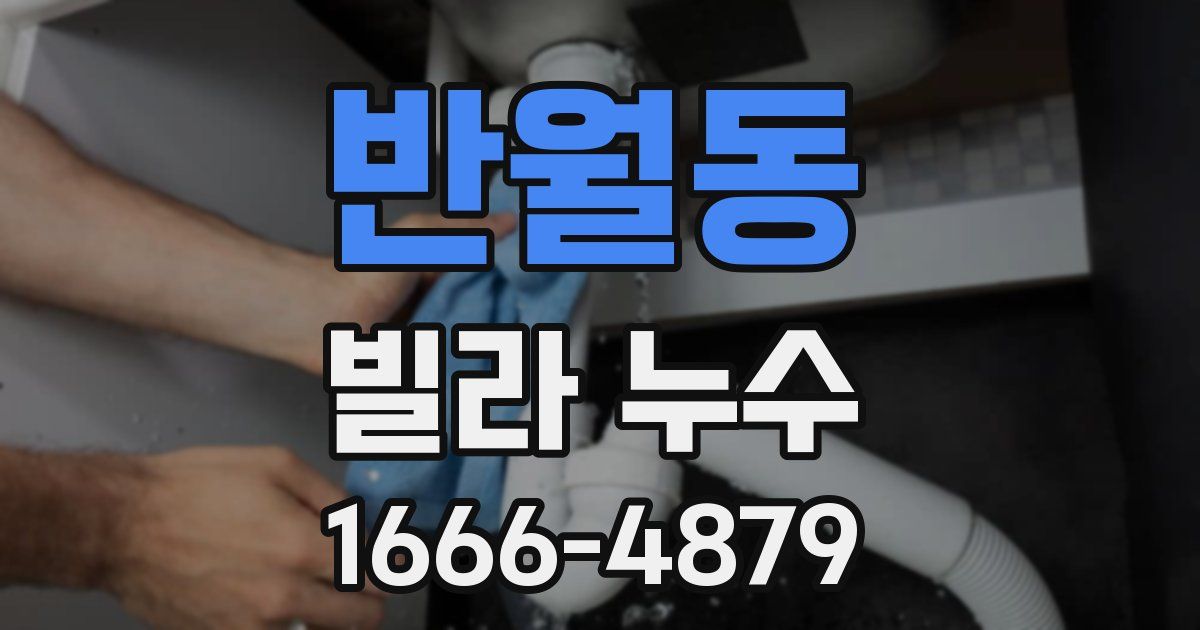 반월동 빌라 누수