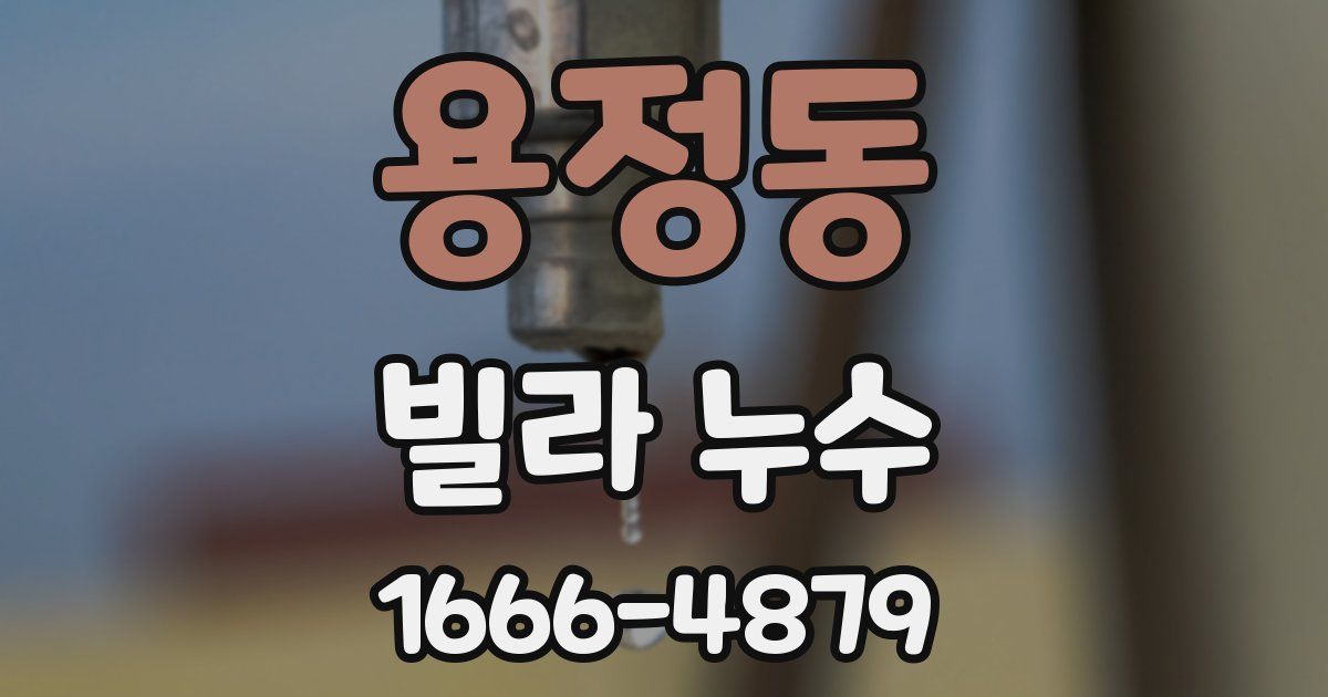 용정동 빌라 누수