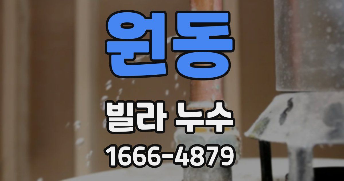 원동 빌라 누수