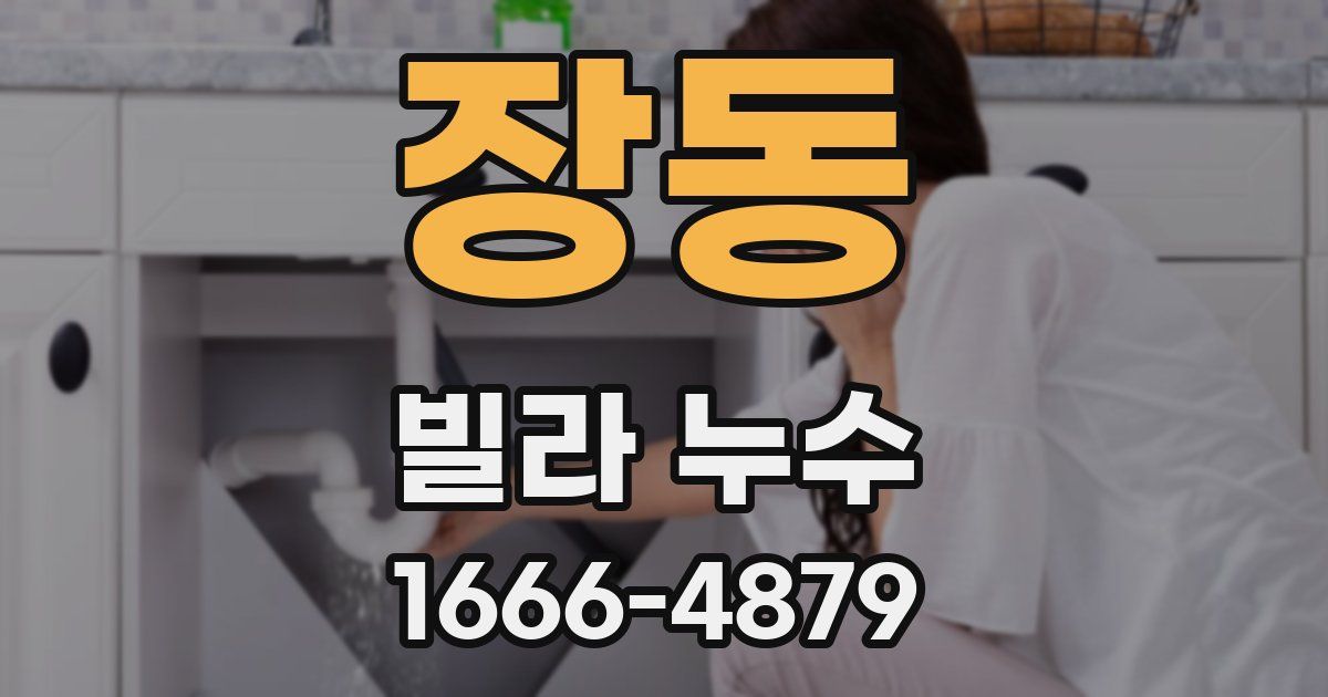 장동 빌라 누수
