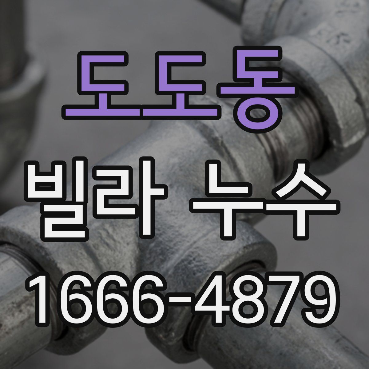 도도동 빌라 누수