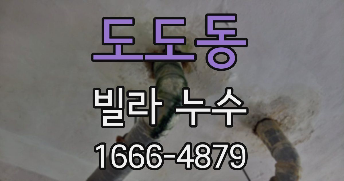 도도동 빌라 누수