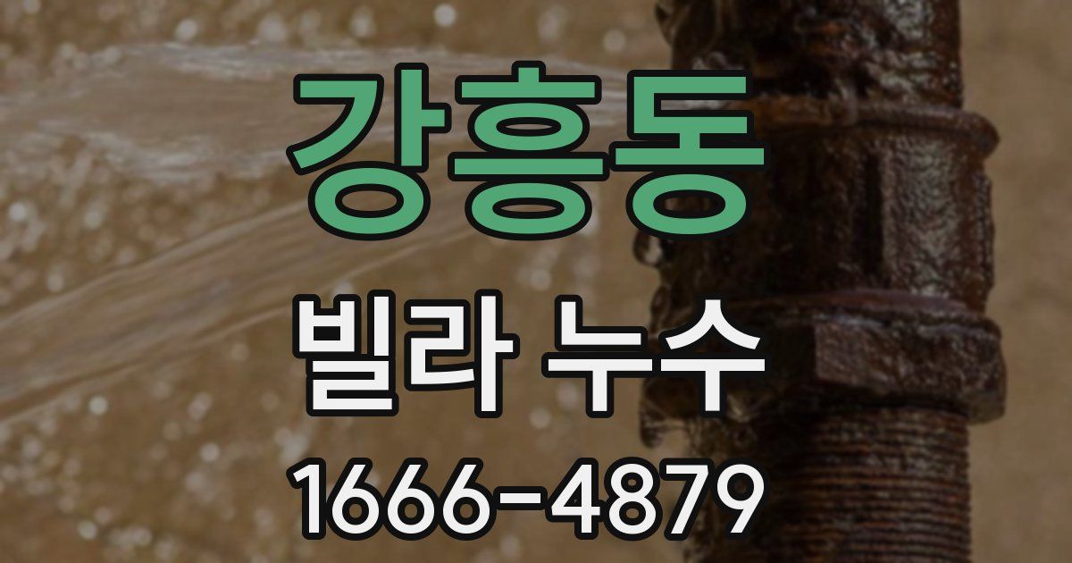 강흥동 빌라 누수