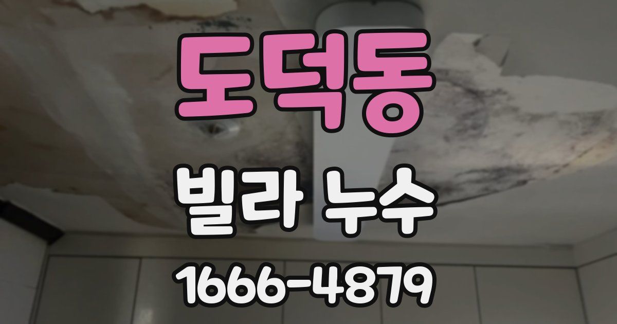 도덕동 빌라 누수