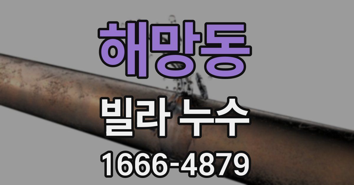해망동 빌라 누수