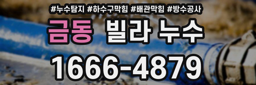 금동 빌라 누수