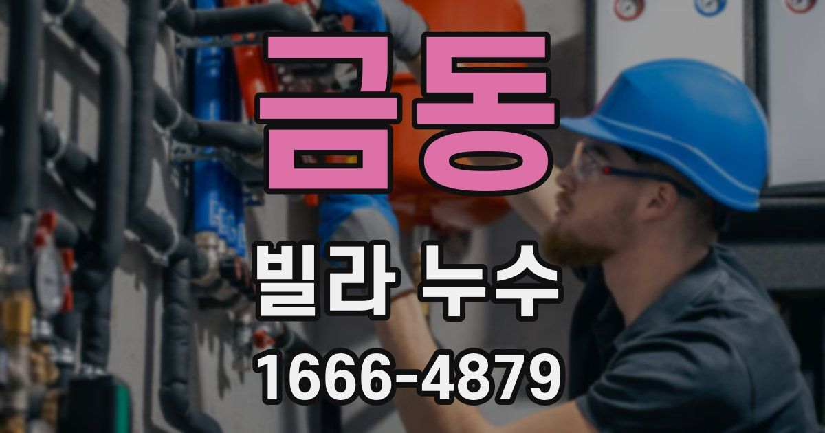 금동 빌라 누수