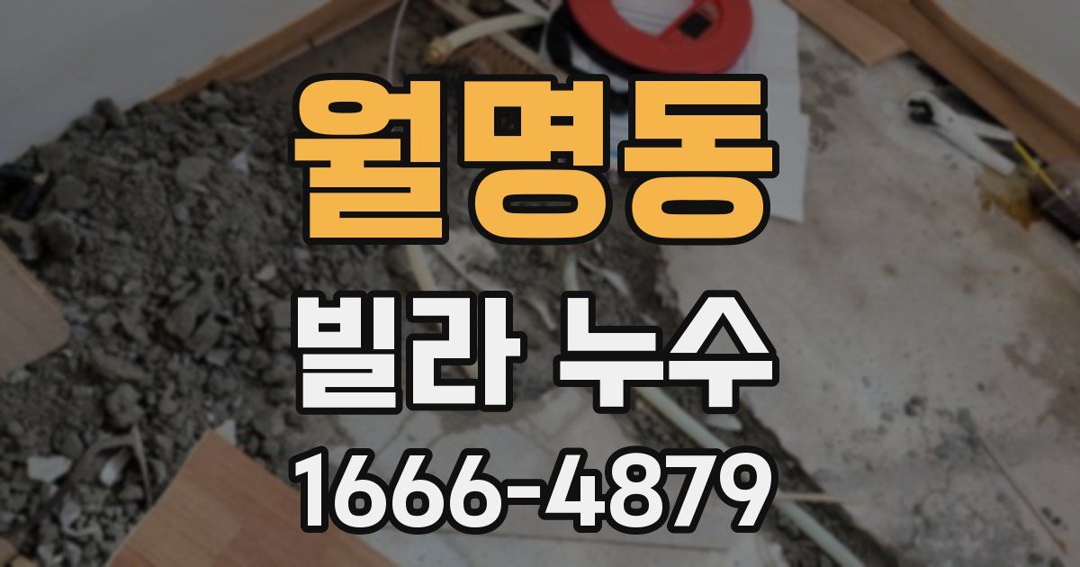 월명동 빌라 누수