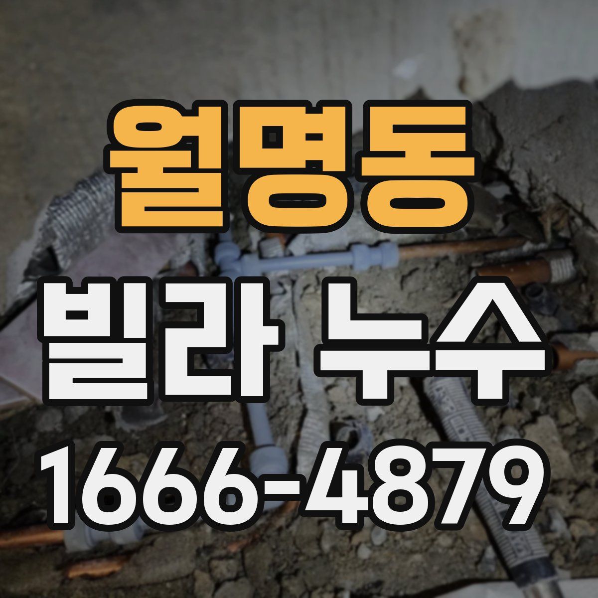 월명동 빌라 누수