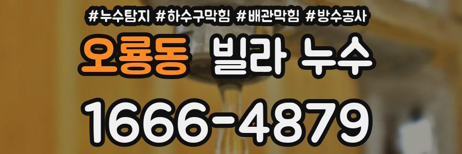 오룡동 빌라 누수
