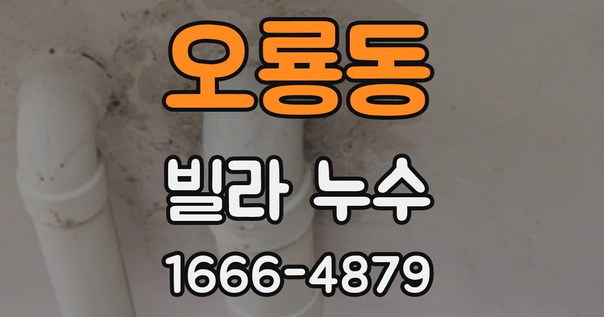 오룡동 빌라 누수
