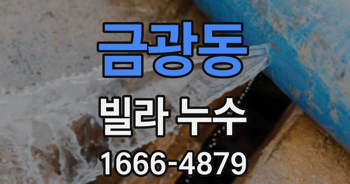 금광동 빌라 누수