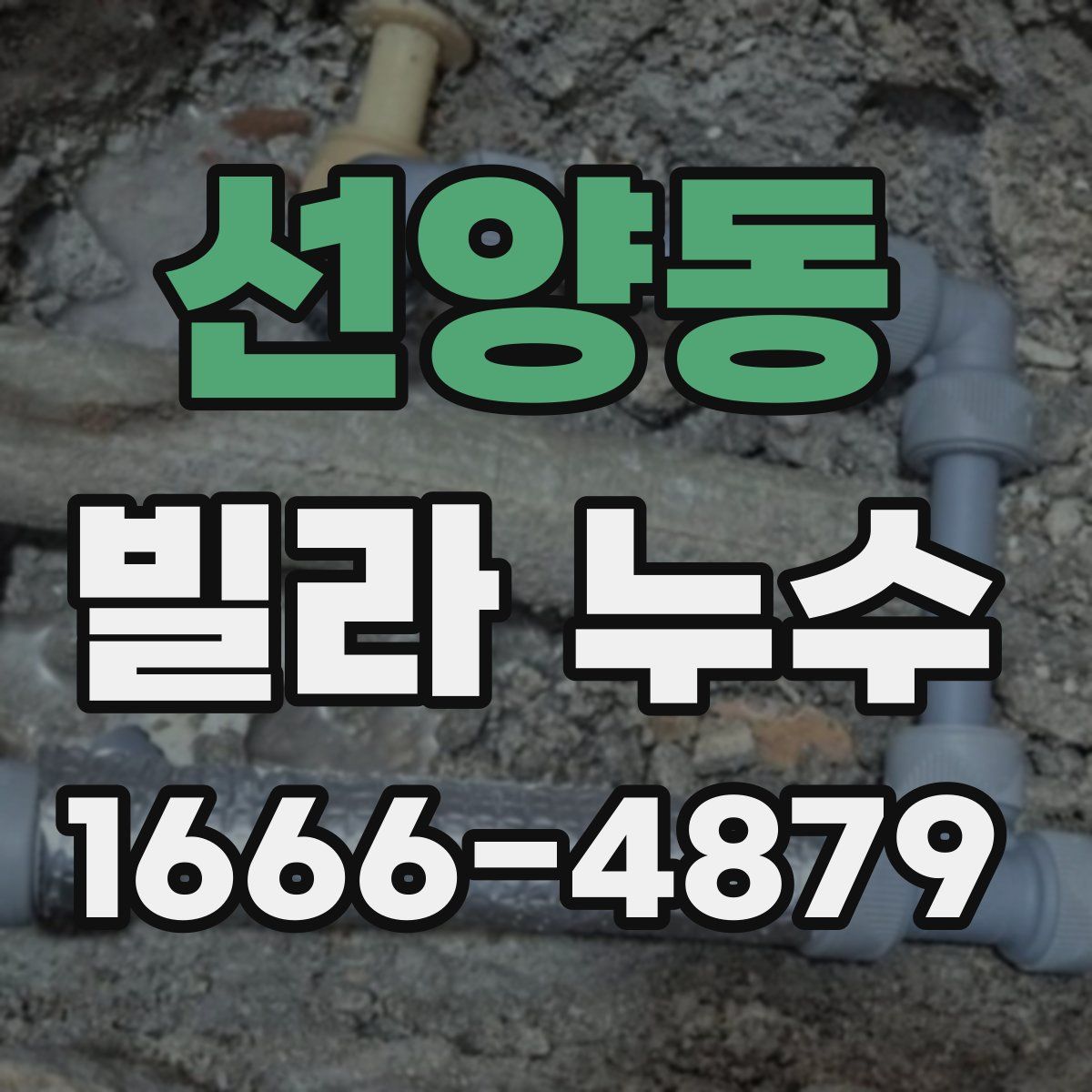선양동 빌라 누수