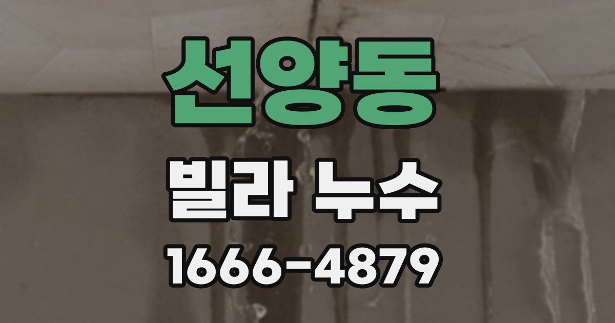 선양동 빌라 누수