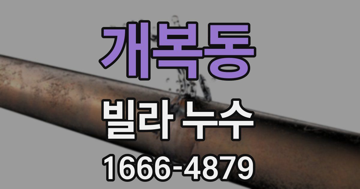 개복동 빌라 누수