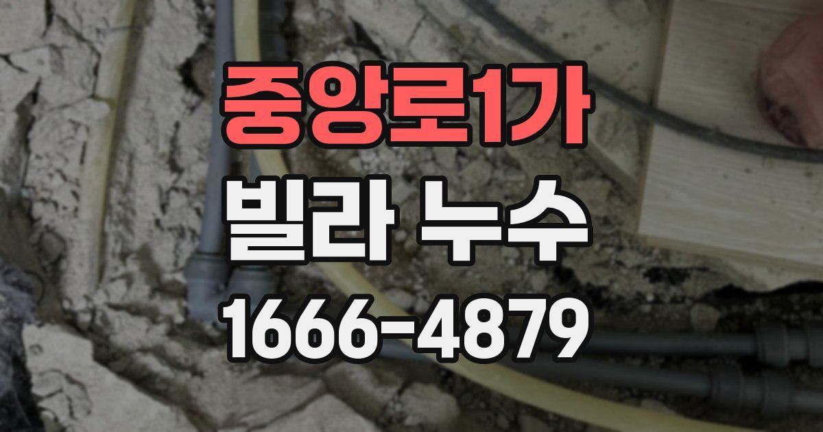 중앙로1가 빌라 누수
