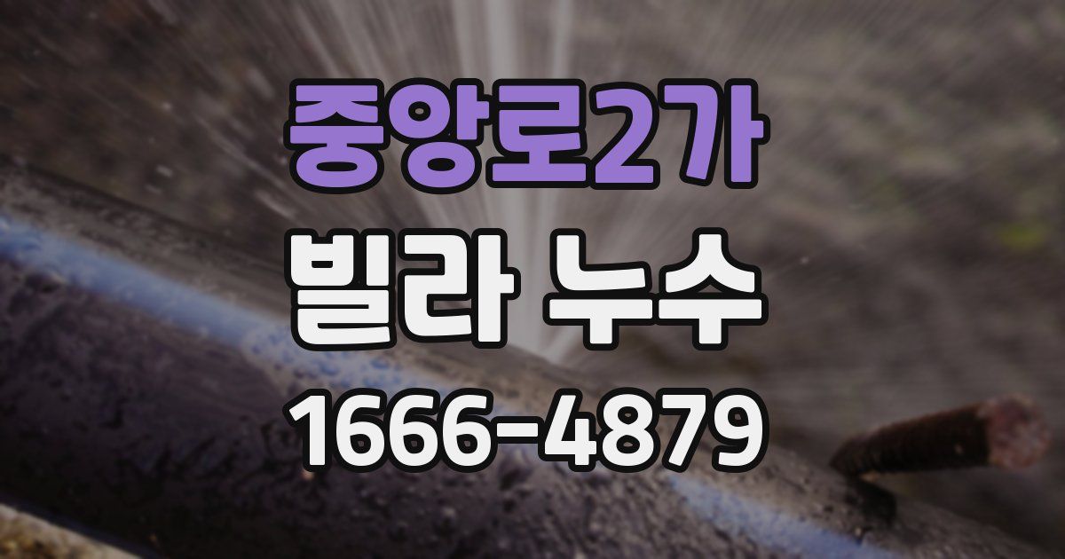 중앙로2가 빌라 누수
