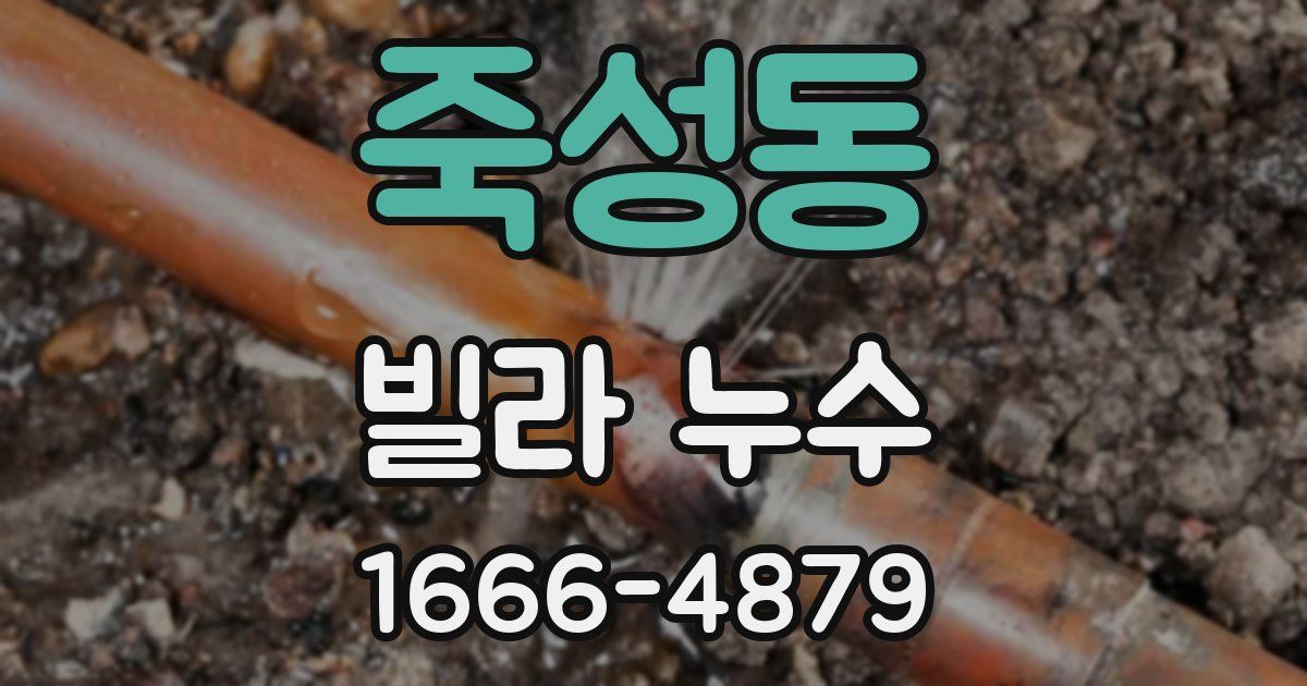 죽성동 빌라 누수