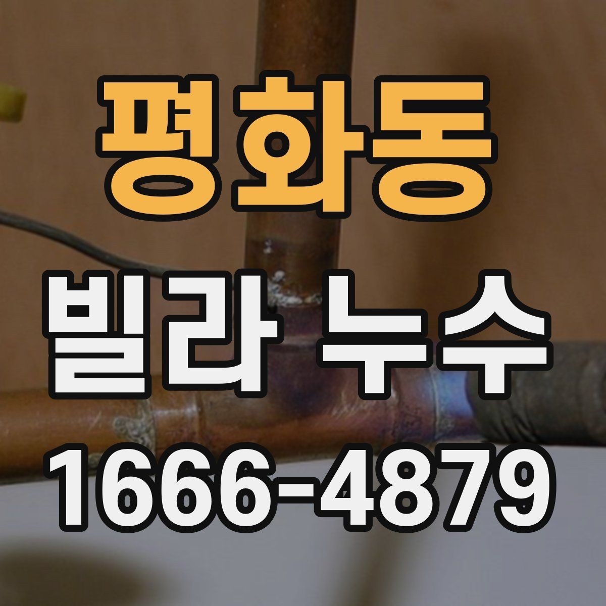 평화동 빌라 누수 자주 생기는 위치