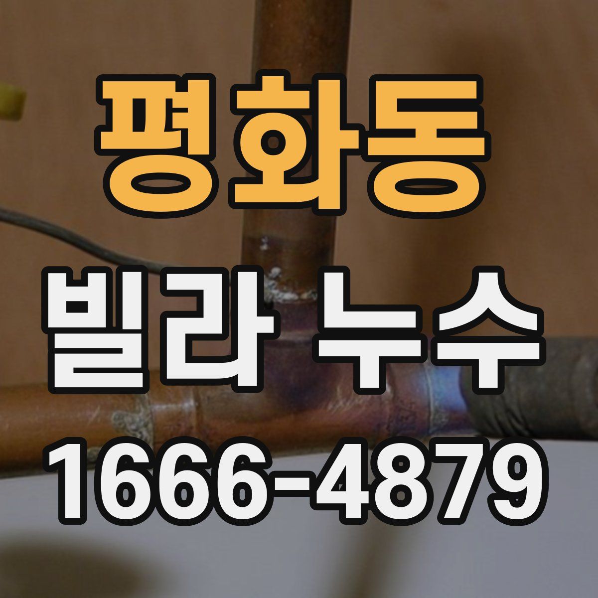 평화동 빌라 누수